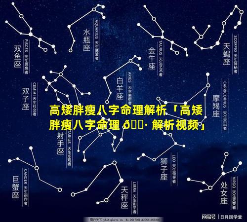 高矮胖瘦八字命理解析「高矮胖瘦八字命理 🌷 解析视频」